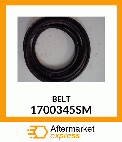 BELT 1700345SM