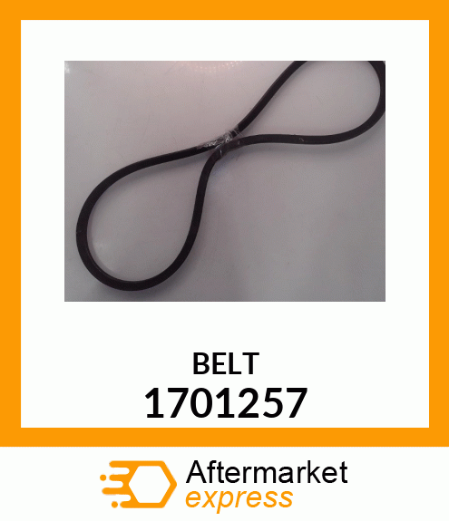 BELT 1701257