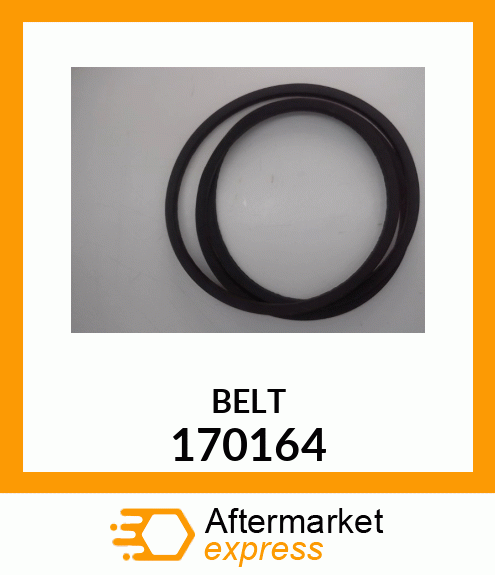 BELT 170164