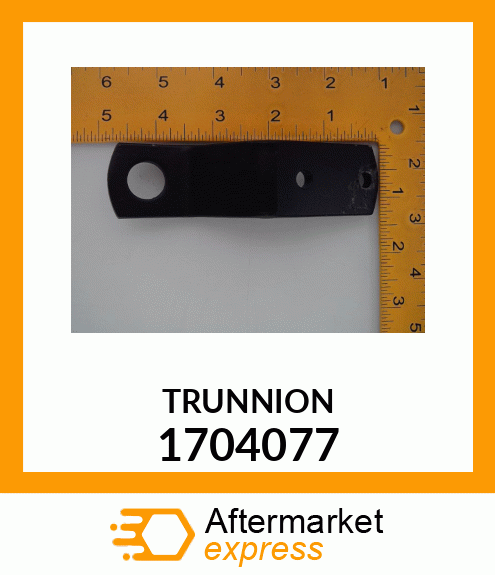 TRUNNION 1704077