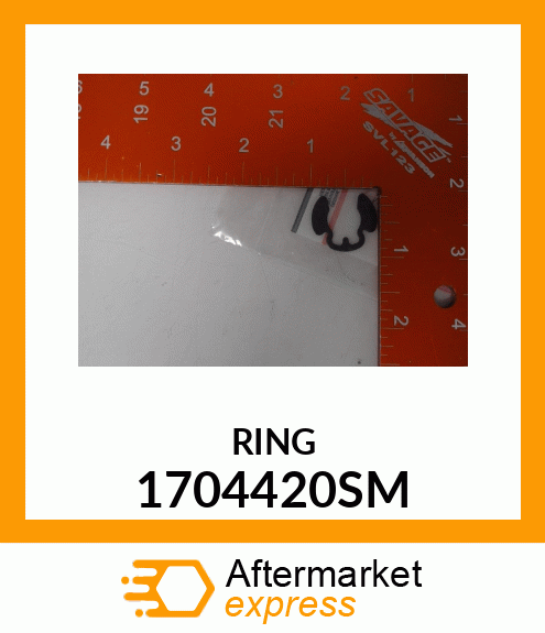 RING 1704420SM