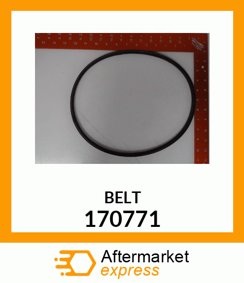 BELT 170771