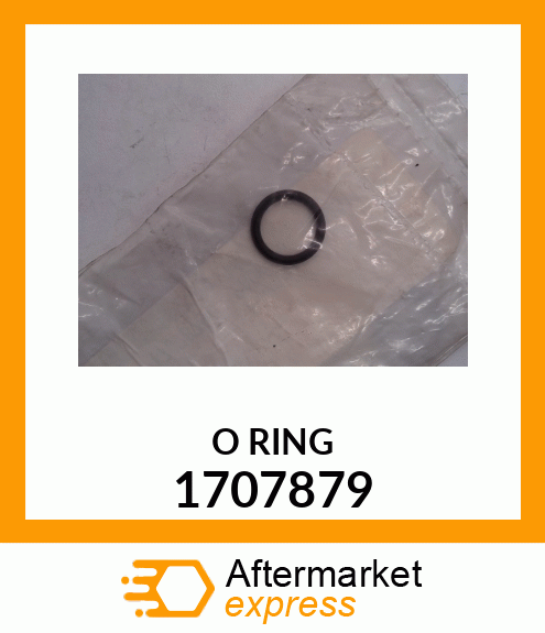 O RING 1707879