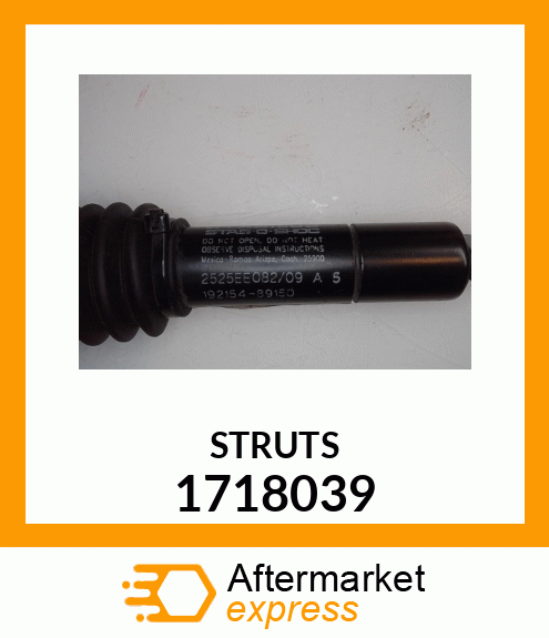 STRUTS 1718039