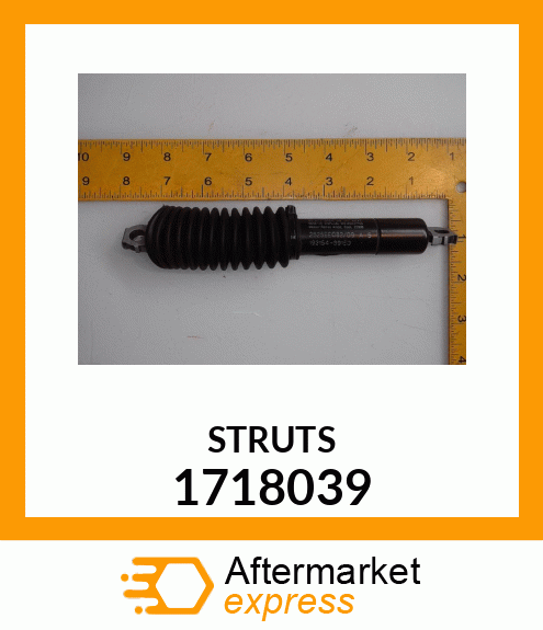 STRUTS 1718039