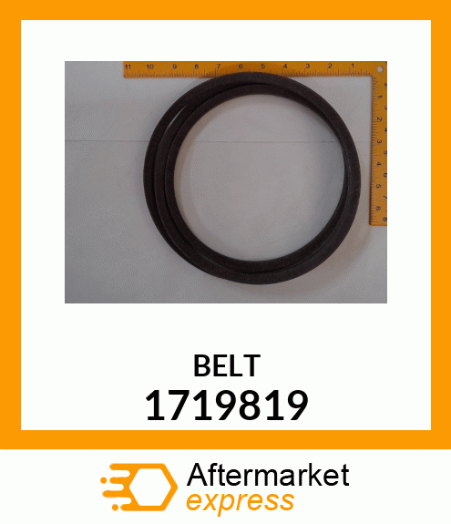 BELT 1719819