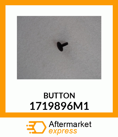 BUTTON 1719896M1