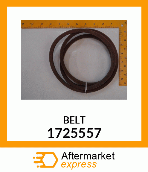 BELT 1725557