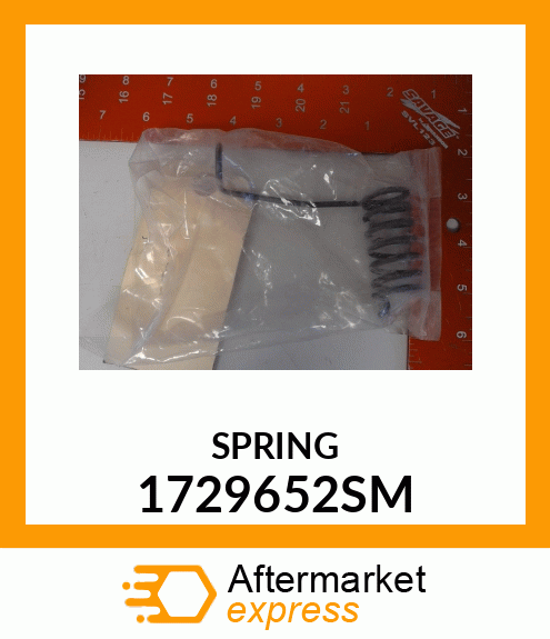 SPRING 1729652SM