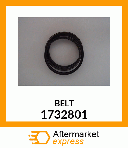 BELT 1732801