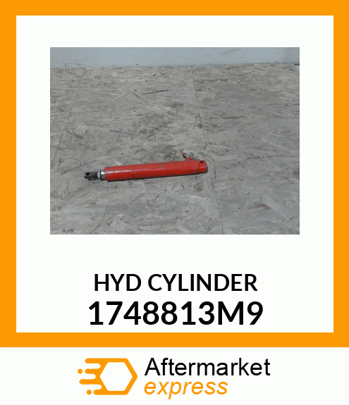 HYD CYLINDER 1748813M9