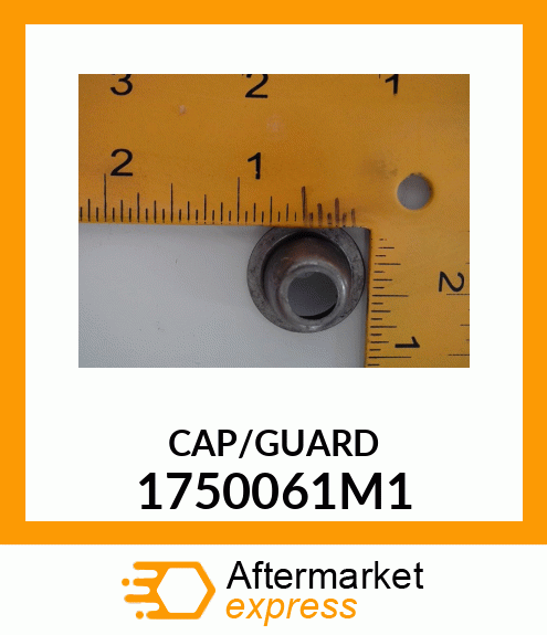 CAP/GUARD 1750061M1