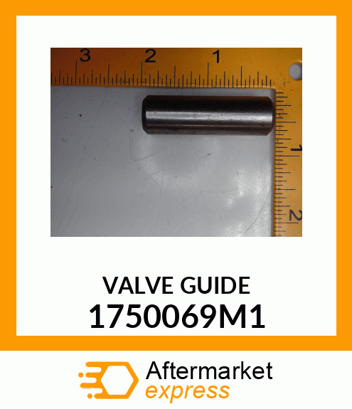 VALVEGUIDE 1750069M1