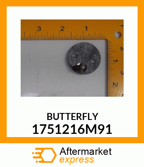 BUTTERFLY 1751216M91