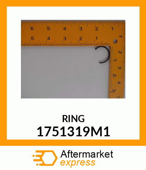 RING 1751319M1