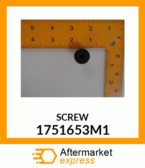 SCREW 1751653M1