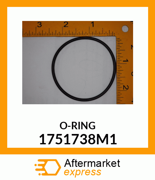 O-RING 1751738M1