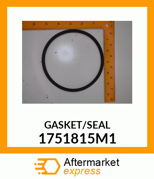 GASKET/SEAL 1751815M1