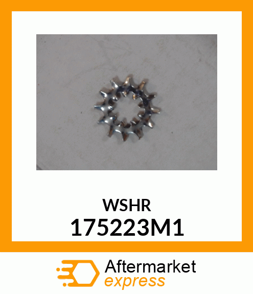 WSHR 175223M1