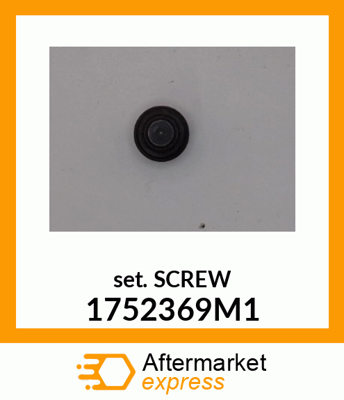 SETSCREW 1752369M1