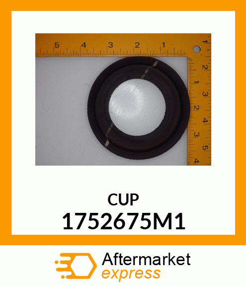 CUP 1752675M1