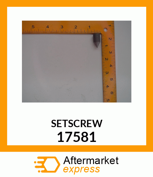 SETSCREW 17581