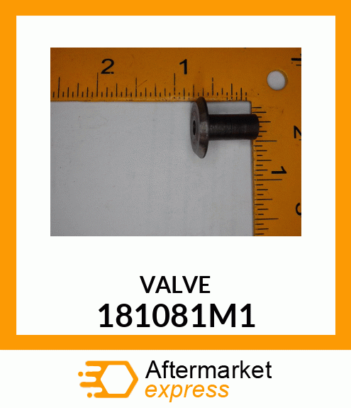 VALVE 181081M1