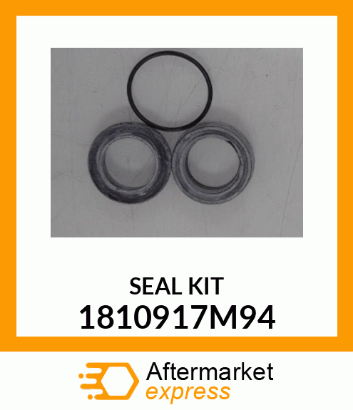 SEALKIT3PC 1810917M94