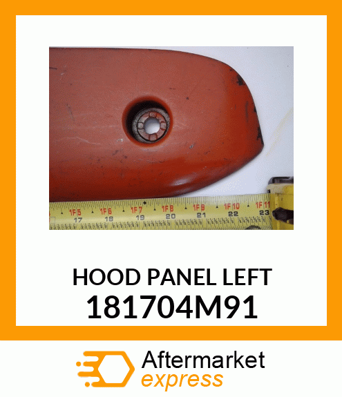 HOODPANELLEFT 181704M91