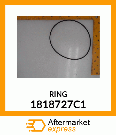 RING 1818727C1