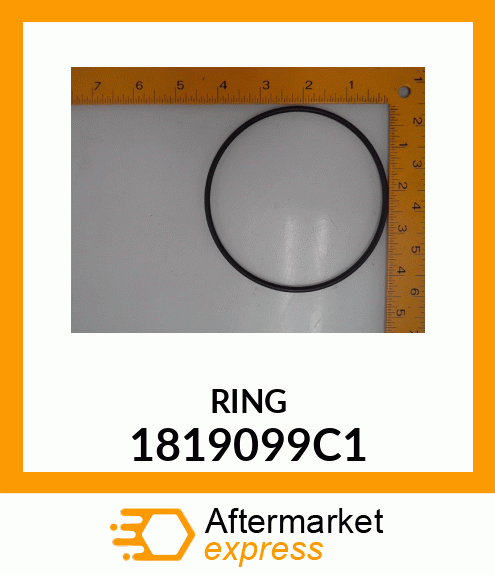 RING 1819099C1