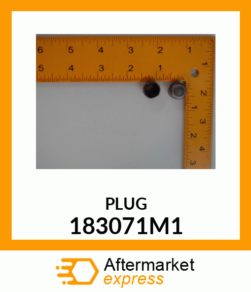 PLUG 183071M1