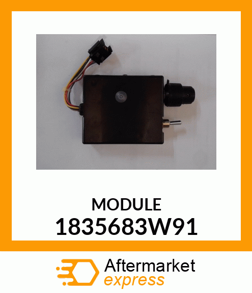 MODULE 1835683W91