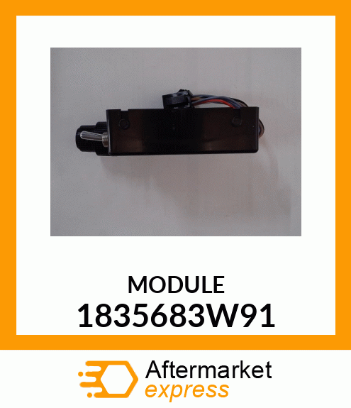 MODULE 1835683W91