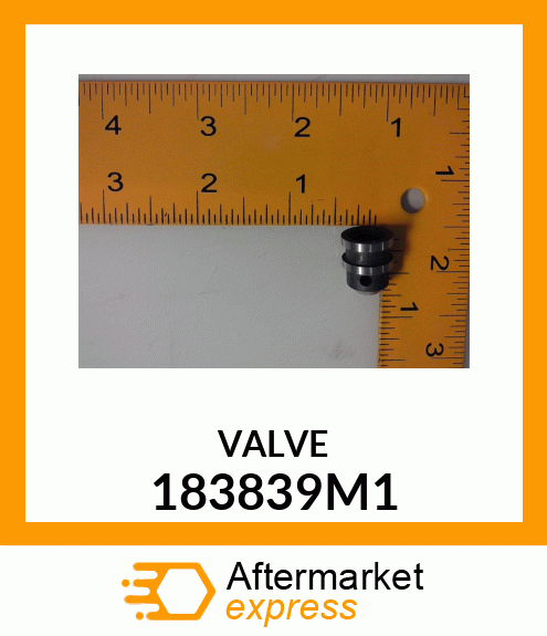 VALVE 183839M1