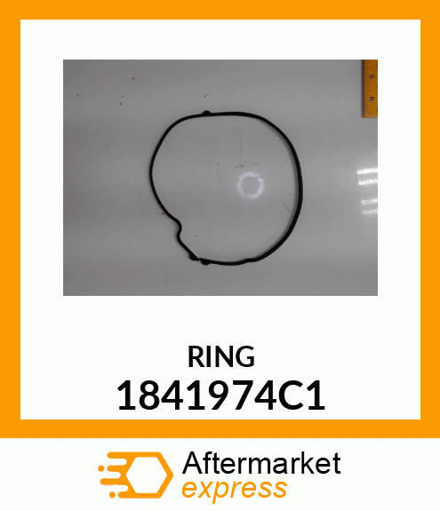 RING 1841974C1