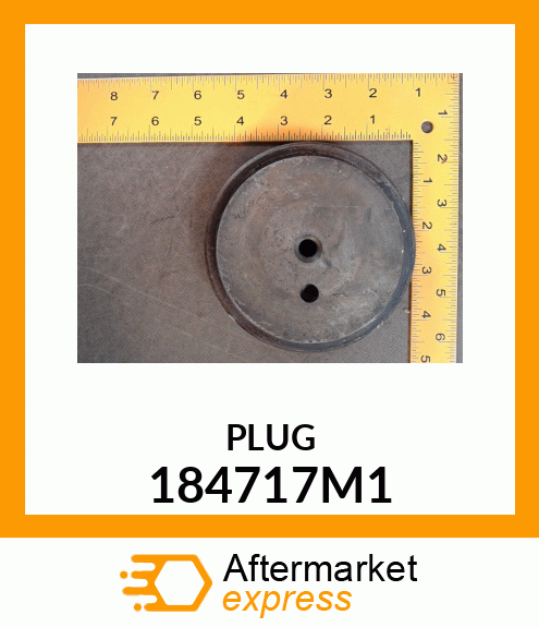 PLUG 184717M1