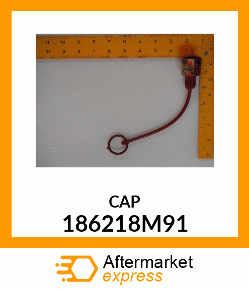 CAP 186218M91