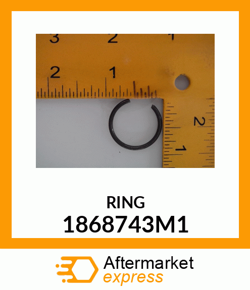 RING 1868743M1