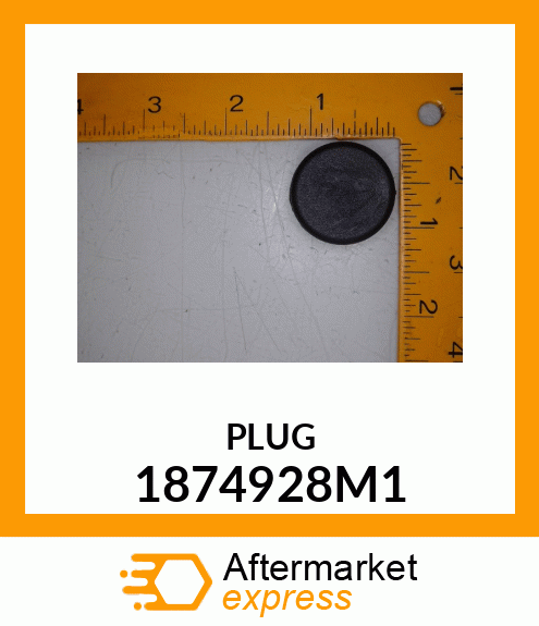 PLUG 1874928M1