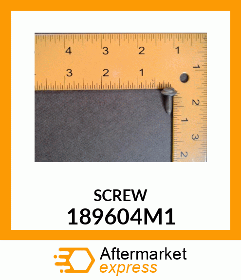 SCREW 189604M1