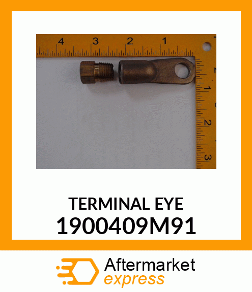 TERMINAL EYE 1900409M91