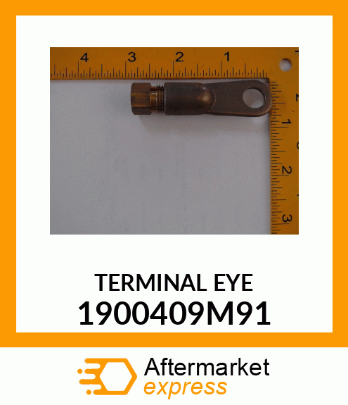 TERMINAL EYE 1900409M91