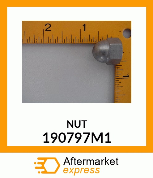 NUT 190797M1