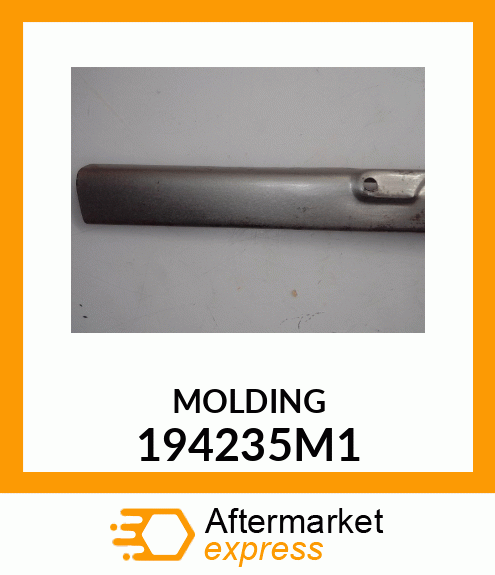 MOLDING 194235M1