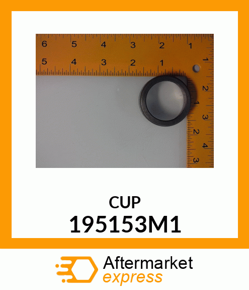 CUP 195153M1