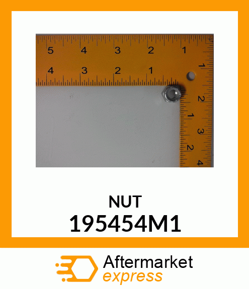 NUT 195454M1