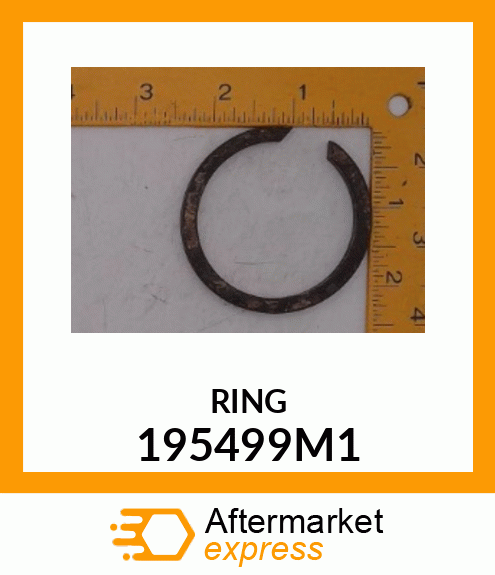 RING 195499M1