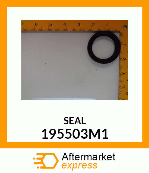 SEAL 195503M1