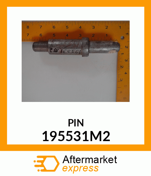 PIN 195531M2